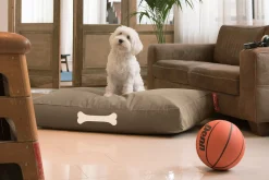 Doggielounge L Canvas Grand coussin pour chien, gris, 80x120x15 cm