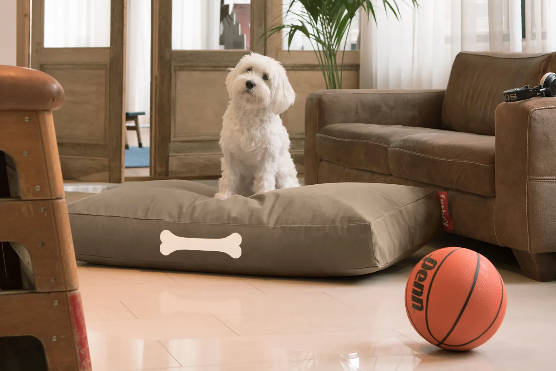 Doggielounge L Canvas Grand coussin pour chien, gris, 80x120x15 cm