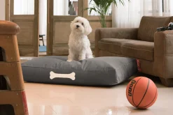 Doggielounge L Canvas Grand coussin pour chien, gris, 80x120x15 cm