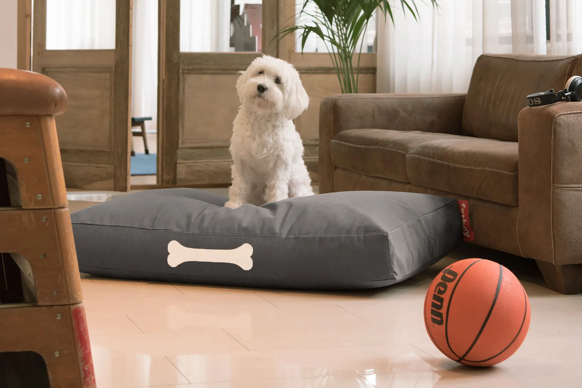 Doggielounge L Canvas Grand coussin pour chien, gris, 80x120x15 cm