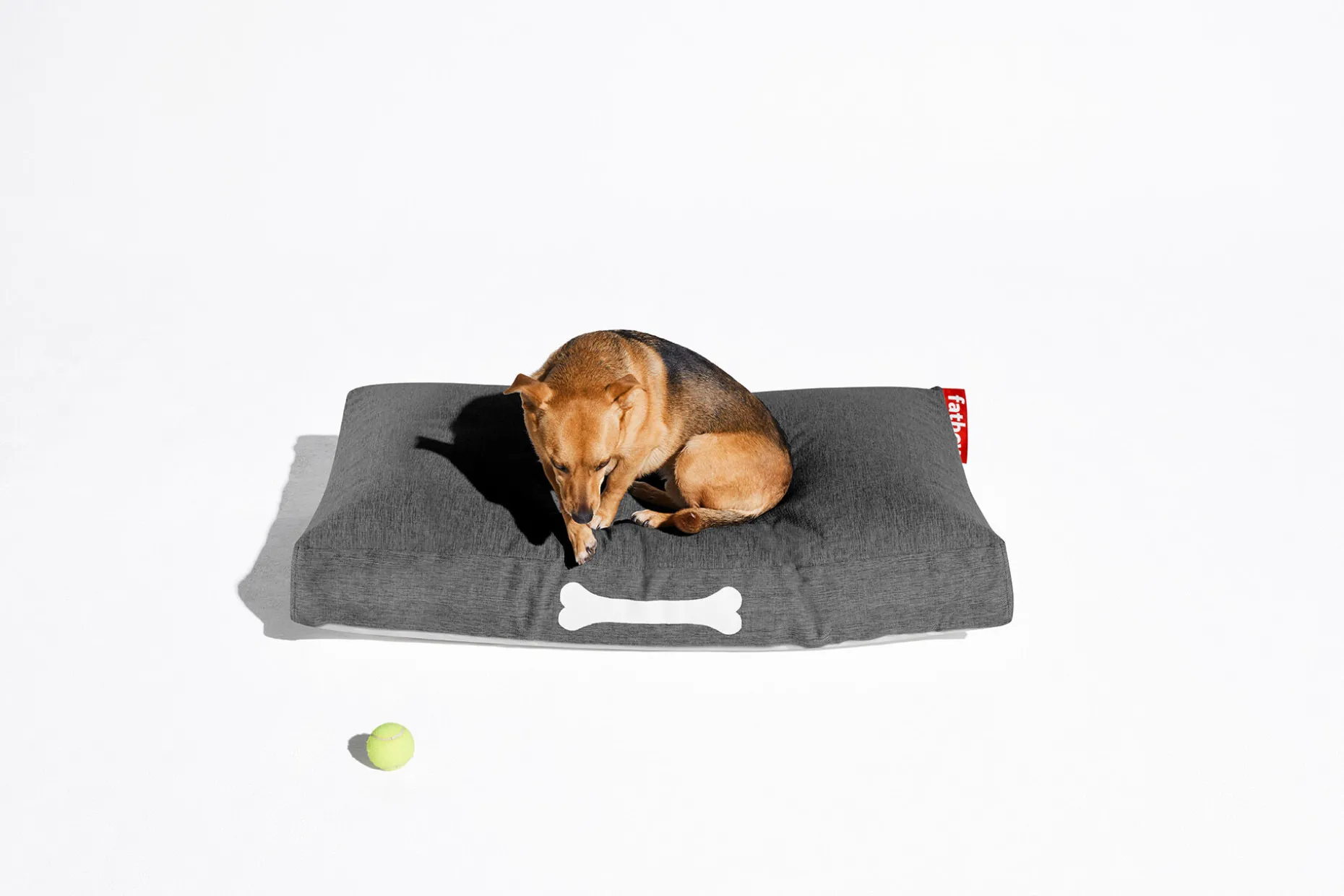 Doggielounge Olefin Small Paniers chien, gris, 60x78x14 cm