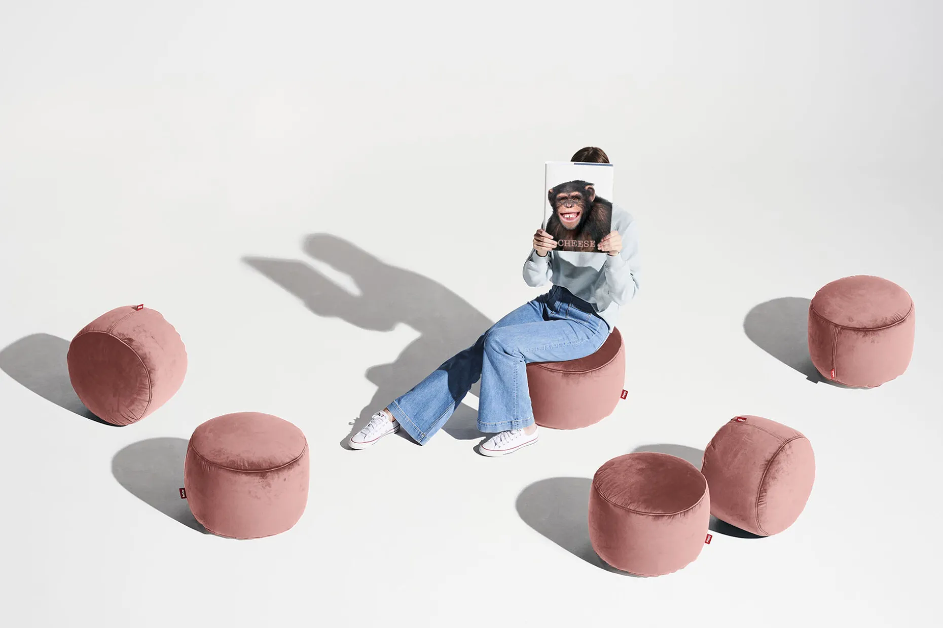 Point Velvet