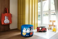 Point X Miffy